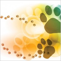 colorful bubbles footprints background vector