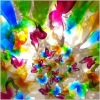 colorful butterfly pattern 05 vector