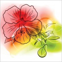 colorful flowers background vector