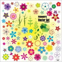 Colorful Summer Flowers