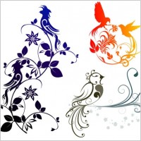 combination of exquisite bird pattern vector