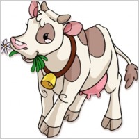 Cow