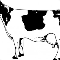 Cow clip art