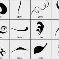 Creative Drawer Swirl Element Samples