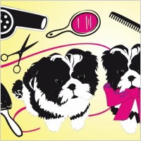 Cute Dogs Beauty Salon
