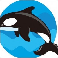 Cute Whale Vector