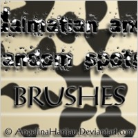 Dalmatian Spot Brushes