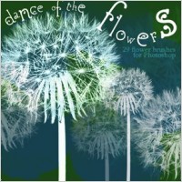 Dance of the flowers