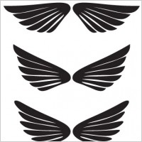 dccanim_wings2