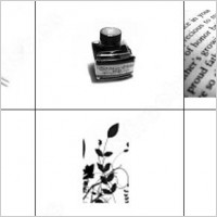dear diary brush