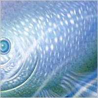 Deep-sea fish psd layered material