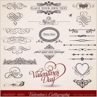 delicate lace pattern elements vector
