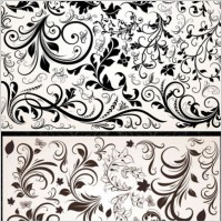 delicate lace vector