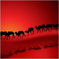 desert camel silhouette vector