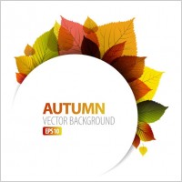 Autumn Leaf Design