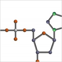 dGTP