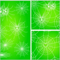 diverse spider web love vector network