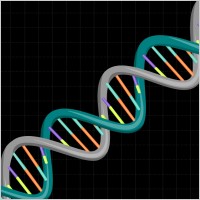 DNA