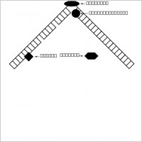DNA replication