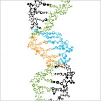 DNA Strand
