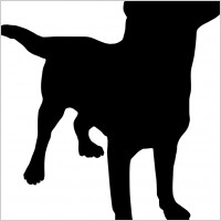 Free Vector Background Download on Dog Bone Free Vector For Free Download  About 3 Files