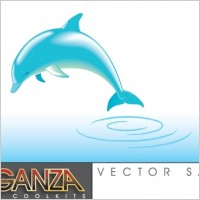Dolphin Vector