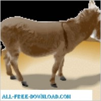 Donkey