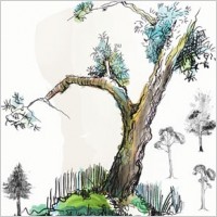 doodled trees Hi-res PS brushes