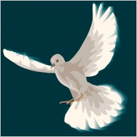 Dove