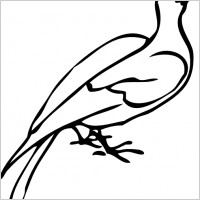 a dove outline