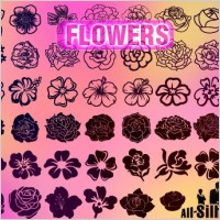 Download Vector Flowers