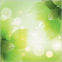 dream vector background 3 plant