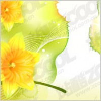 Dreams and Narcissus vector background material