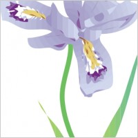 Dwarf Lake Iris clip art