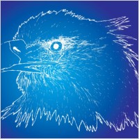Eagle Sketch