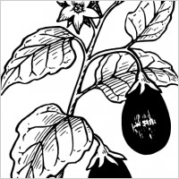 Eggplant clip art
