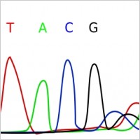 Electropherogram