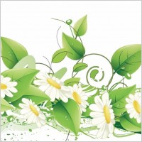 Elegant Floral Vector Background