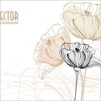 elegant pattern background 04 vector