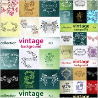 elegant patterns vector