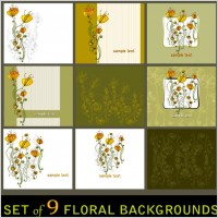 elegant patterns vector two