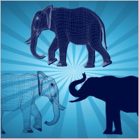 Elephant Graphics