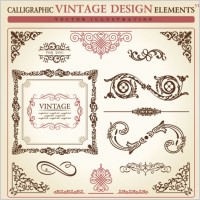 european classic lace pattern 03 vector