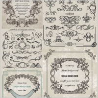 european classic lace pattern vector