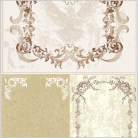european classic lace vector