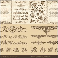 european classical pattern vector
