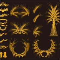 european gold decorative elements vector