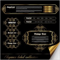 european gorgeous pattern label 02 vector