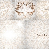 european gorgeous pattern vector