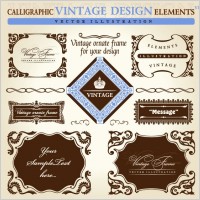 european retro lace pattern vector
